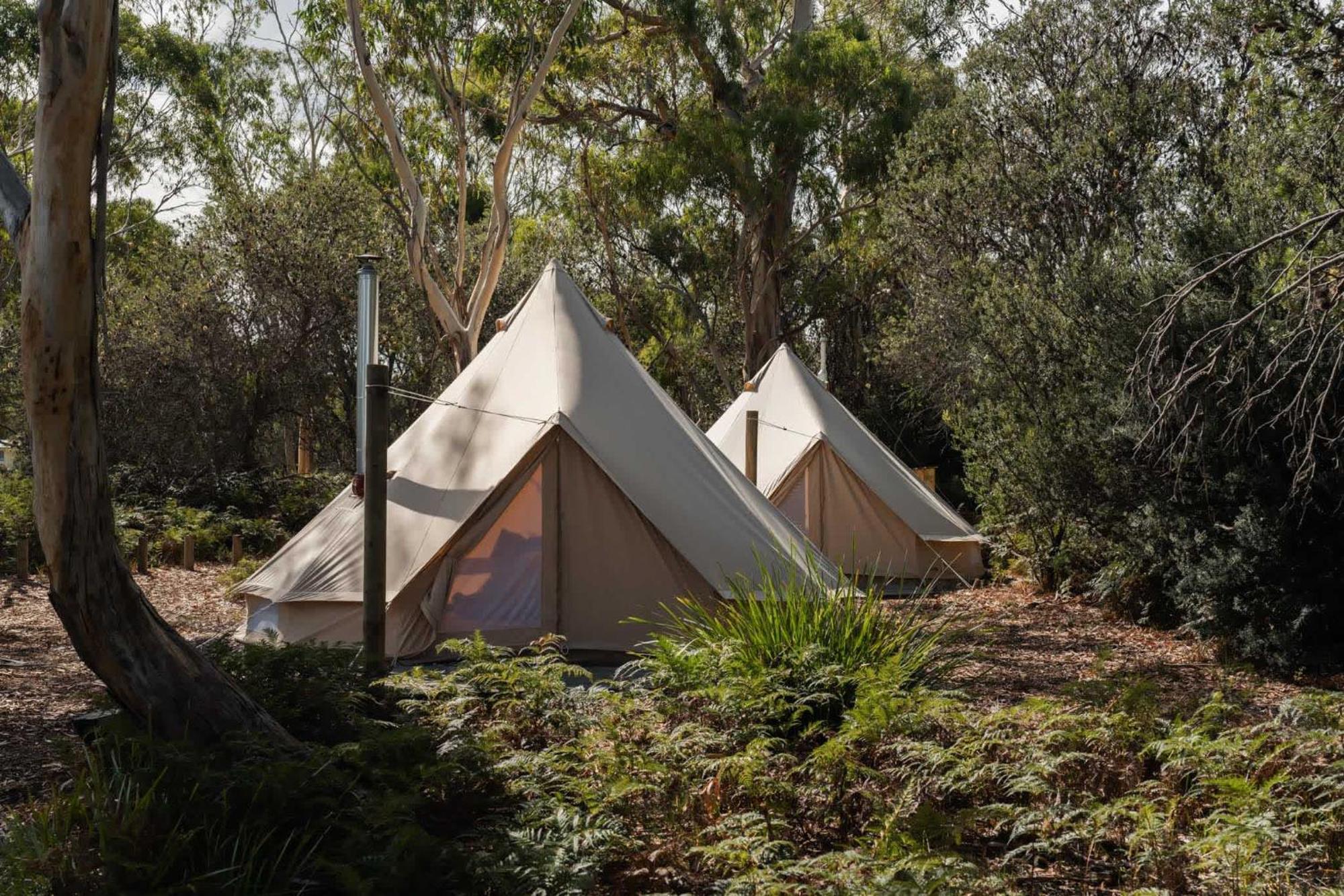 Hotel Numie - Freycinet Peninsula - Glamping - Heated - Waterfront Coles Bay Esterno foto