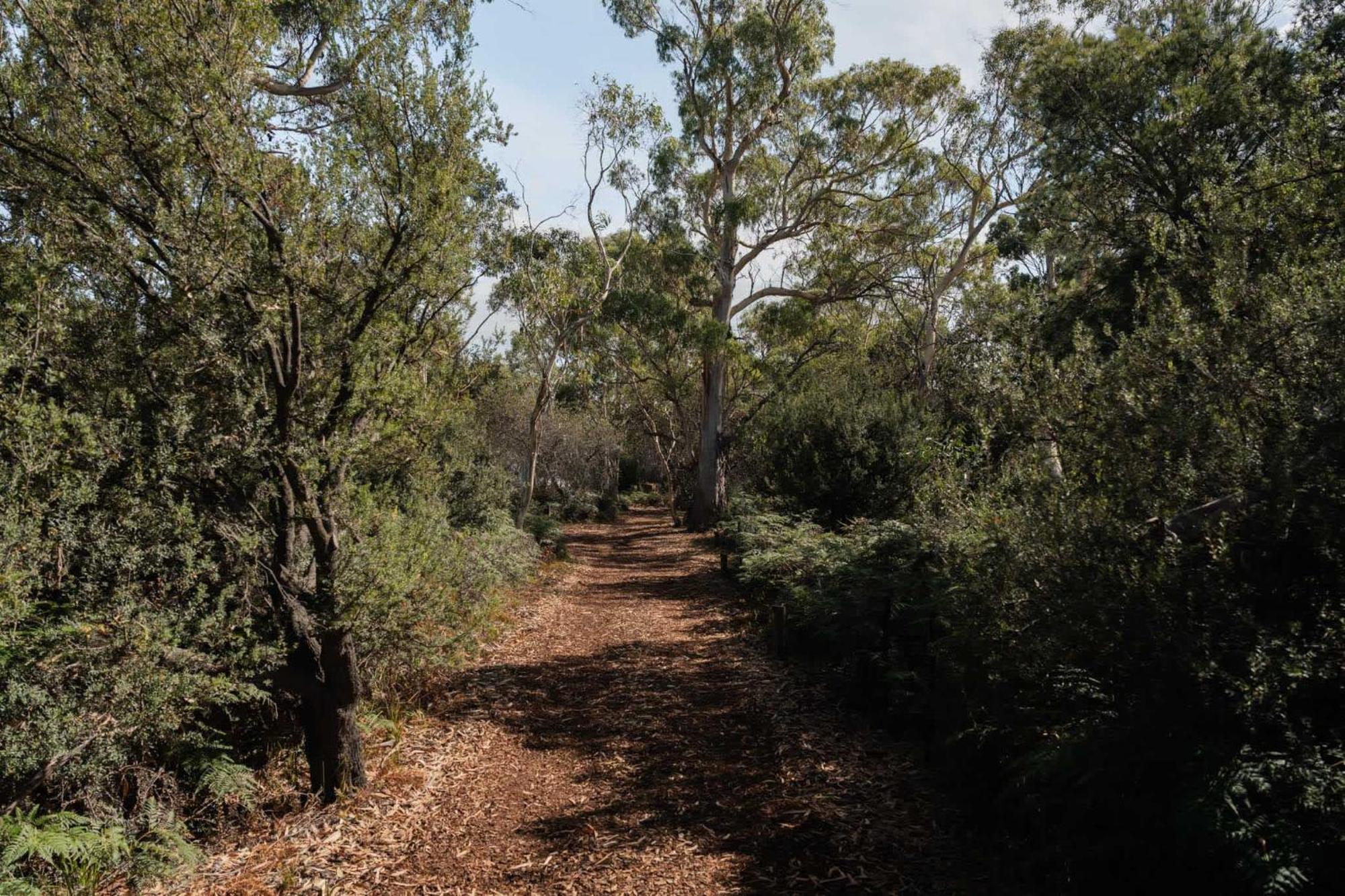 Hotel Numie - Freycinet Peninsula - Glamping - Heated - Waterfront Coles Bay Esterno foto