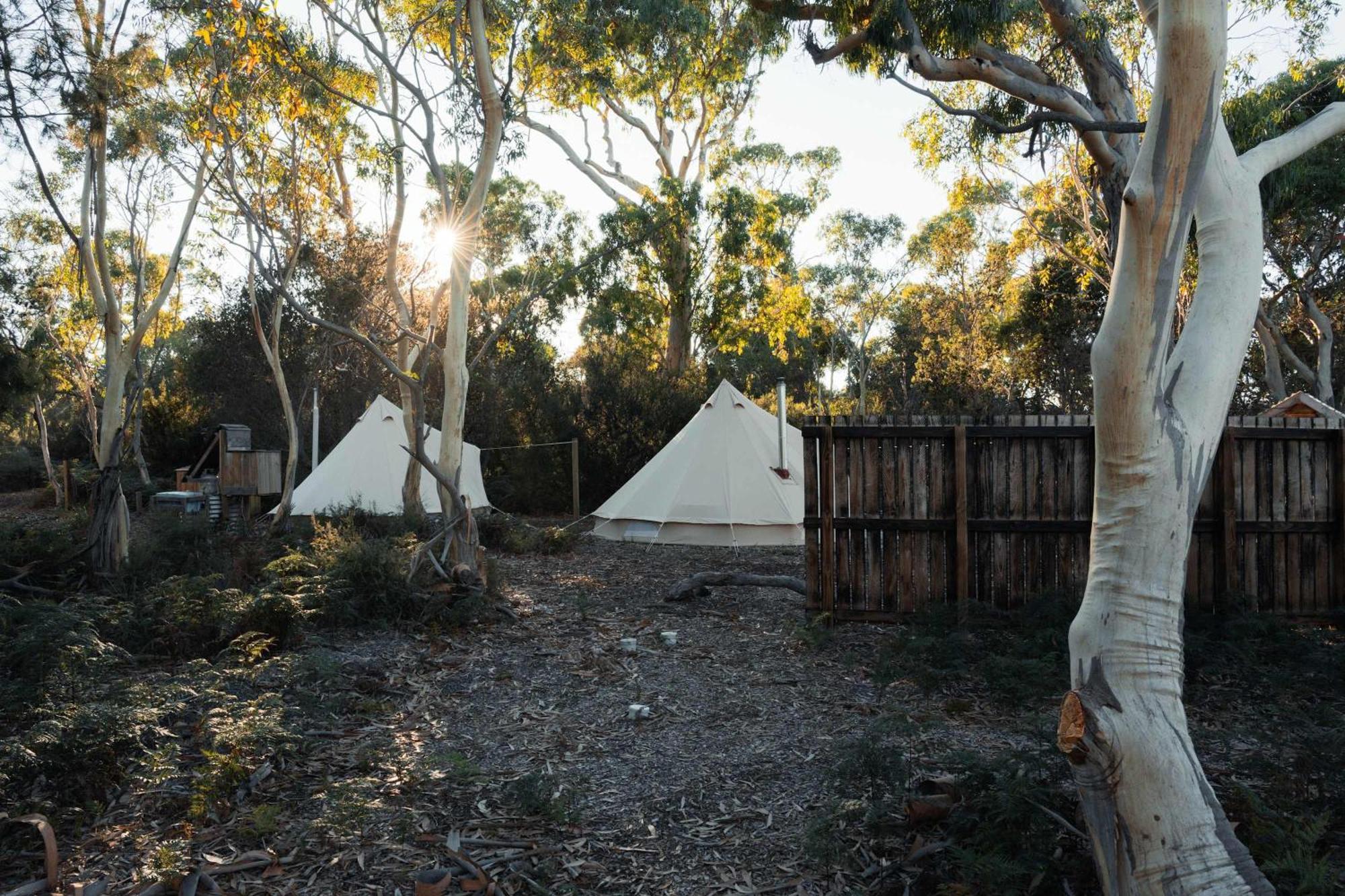 Hotel Numie - Freycinet Peninsula - Glamping - Heated - Waterfront Coles Bay Esterno foto