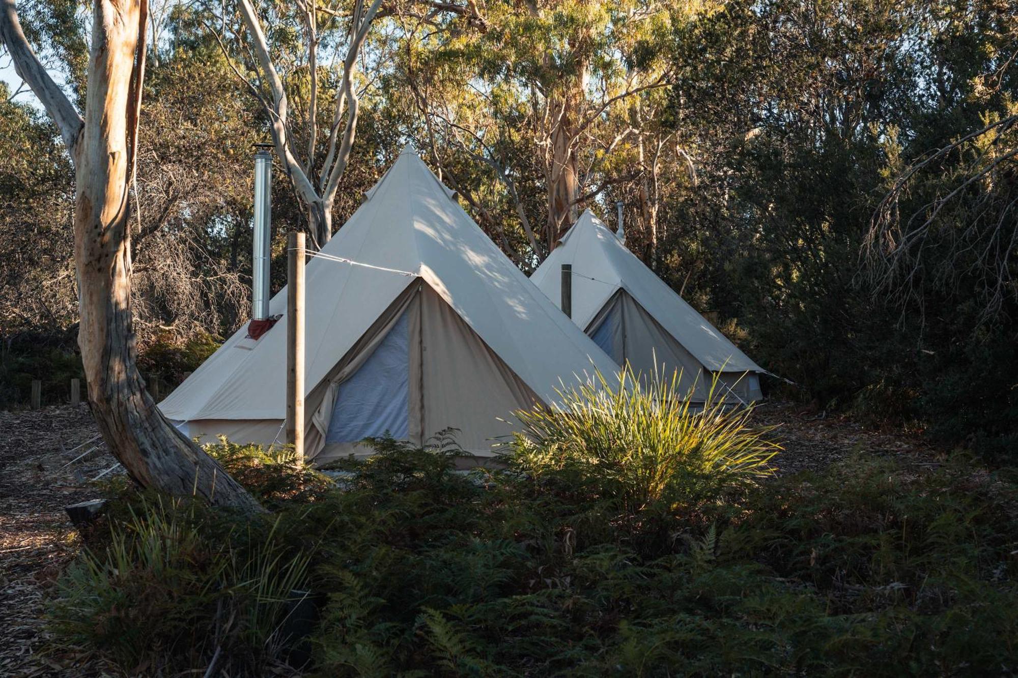 Hotel Numie - Freycinet Peninsula - Glamping - Heated - Waterfront Coles Bay Esterno foto