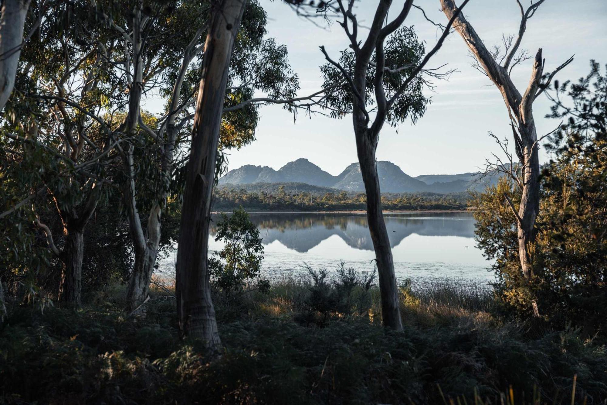 Hotel Numie - Freycinet Peninsula - Glamping - Heated - Waterfront Coles Bay Esterno foto