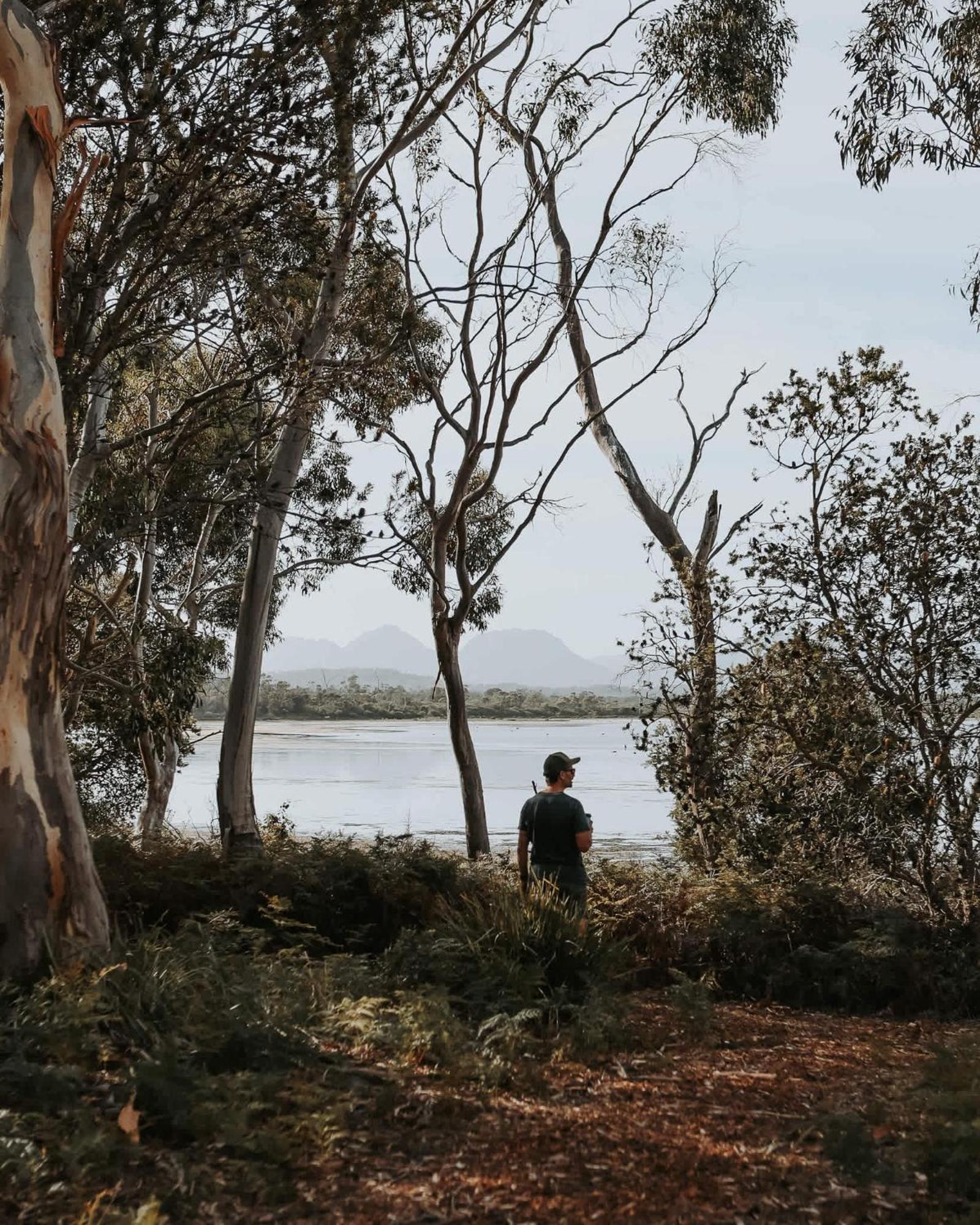 Hotel Numie - Freycinet Peninsula - Glamping - Heated - Waterfront Coles Bay Esterno foto