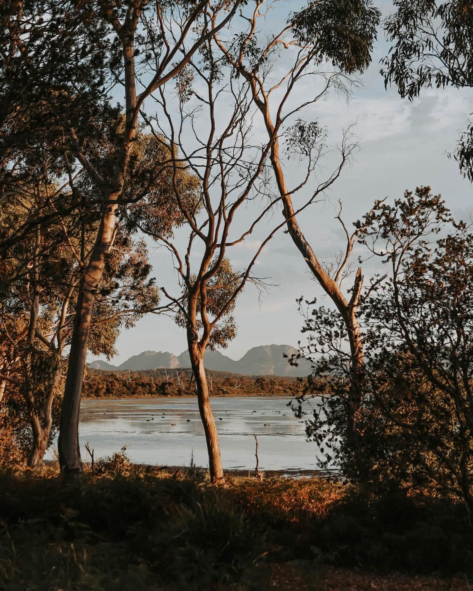 Hotel Numie - Freycinet Peninsula - Glamping - Heated - Waterfront Coles Bay Esterno foto